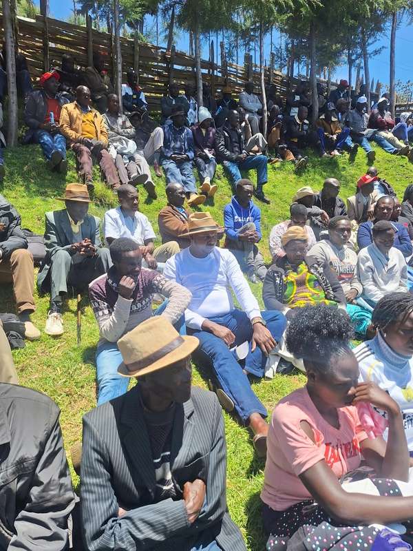 A large crowd seated on a sunny hillside
